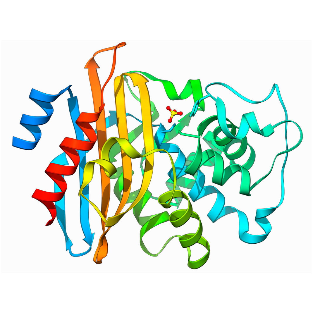 Enzyme Blue Color Science – Daily Colors